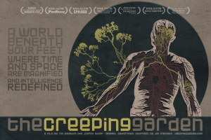 Screen Shot 2014-10-22 at 11.41.08